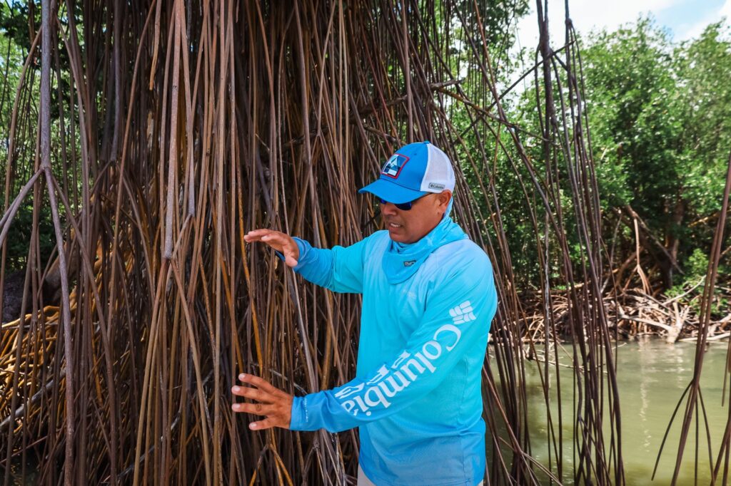Captain José mangrove tour Piñones – Oceania Boat Tours & Charters