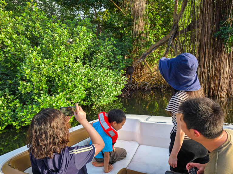 Family mangrove tour kids San Juan Puerto Rico – Oceania Boat Tours & Charters