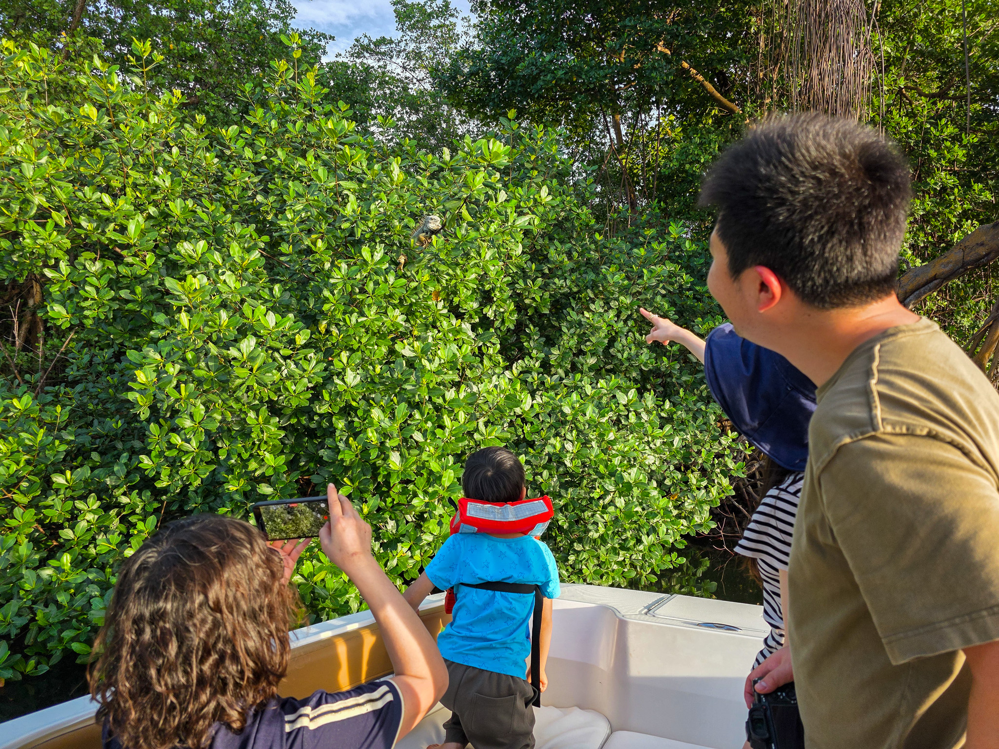 Family mangrove tour kids San Juan Puerto Rico – Oceania Boat Tours & Charters