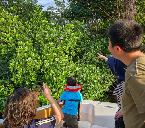 Family mangrove tour kids San Juan Puerto Rico ru5y5kklc7fw554oi79z8m620wbagt42xvo15vk2l0 – Oceania Boat Tours & Charters